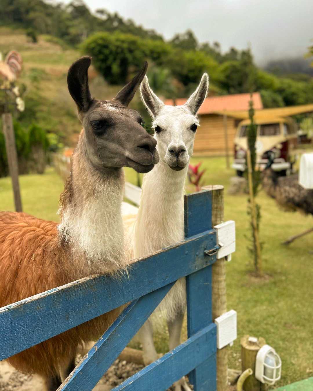 Fim de Semana - foto 6